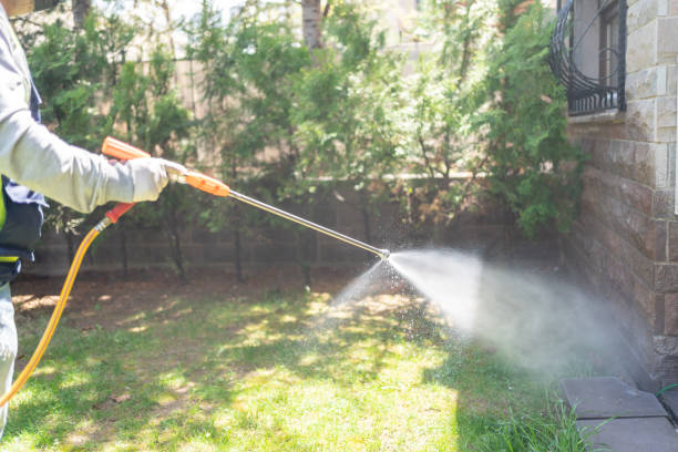 Best Local Pest Control Services  in Long Beach, MD