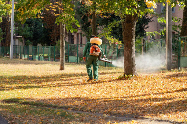 Bird Control in Long Beach, MD
